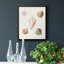 Toile encadrée Pastel Knorr Shells-350724587-350724598