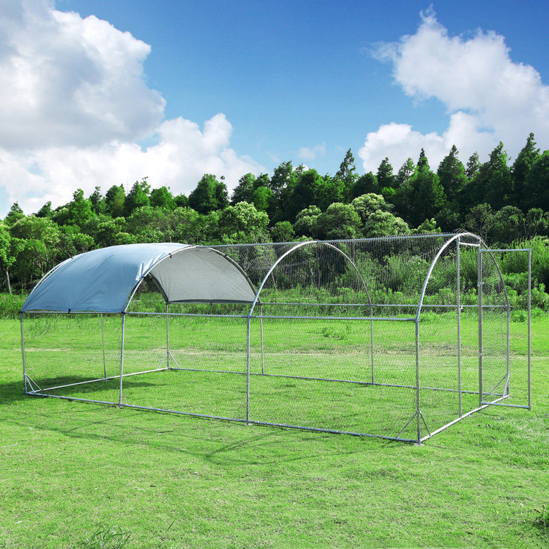 Chudleigh Walk In Chicken Run, 78" H x 228" W x 108" D