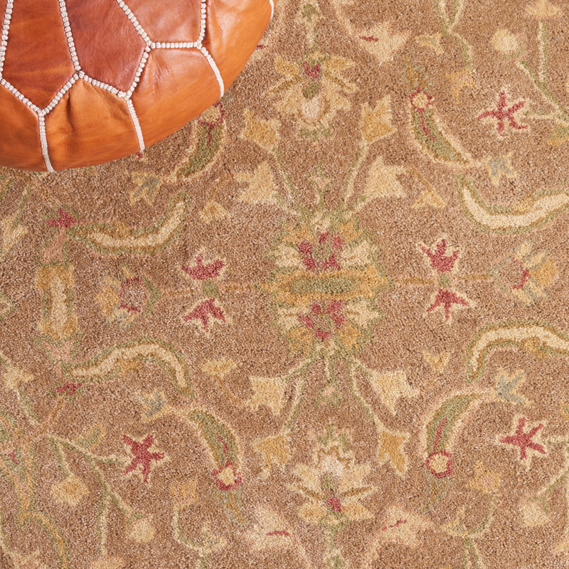 Tapis oriental en laine touffeté à la main Dunbar, Rectangle 5 pi x 8 pi