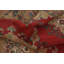 Tapis traditionnel rouge 6 x 9