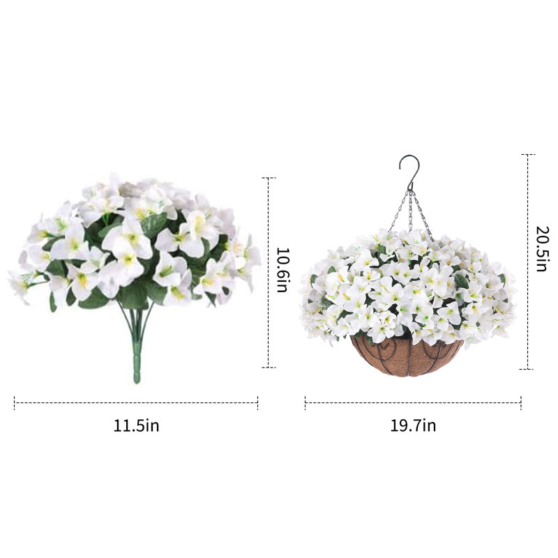 13.5cm Plant