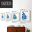 Matisse CCXCII, reproduction d'art encadrée - bois massif-907399219-907399218