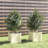 Wood Pot Planter-91895546-91895549-112554442