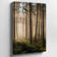 Toile «A Tranquil Forest Scene Bathed In Soft Golden Morning Light», art mural mettant en vedette de grands pins élancés avec écorce texturée-1066791654