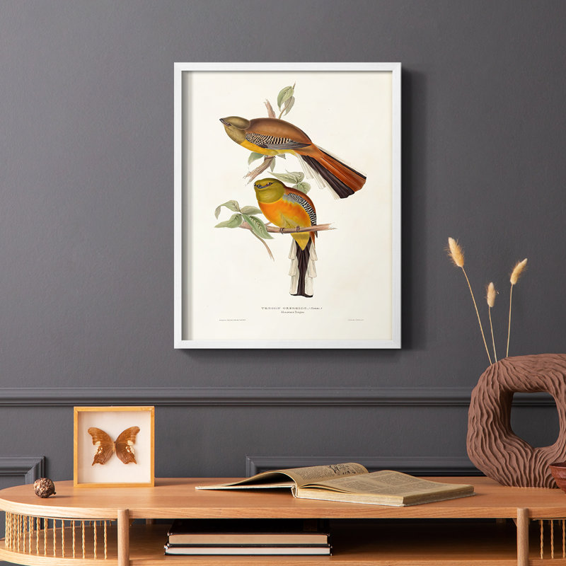 Impression encadrée Elegant Trogons II - bois massif, Cadre simple blanc, H 10 po x l 8 po