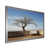 Silver Single Picture Framed
