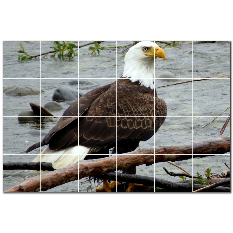 Murale en céramique satinée Bird Photo 8 po x 8 po
