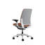 Steelcase Amia Ergonomic Task Chair-323515497-323515492-334359740