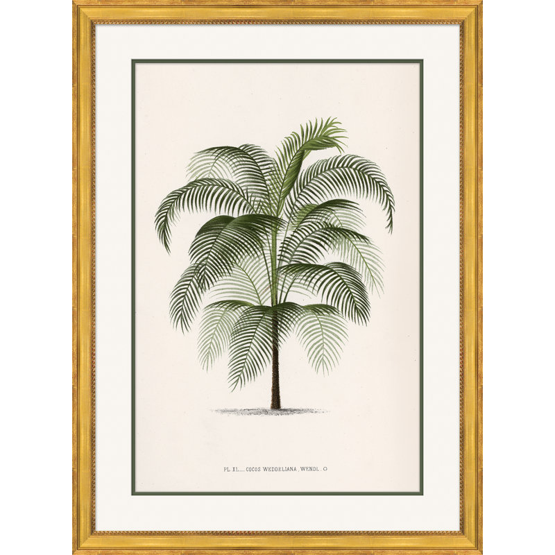 Palms Giclee Print by Isabelle De Borchgrave