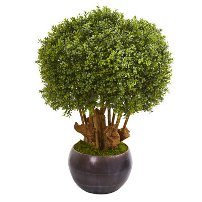 Topiaire buis artificiel en pot