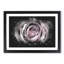 A Pale Pink Rose - Picture Frame Graphic Art Print-56876145-56876144