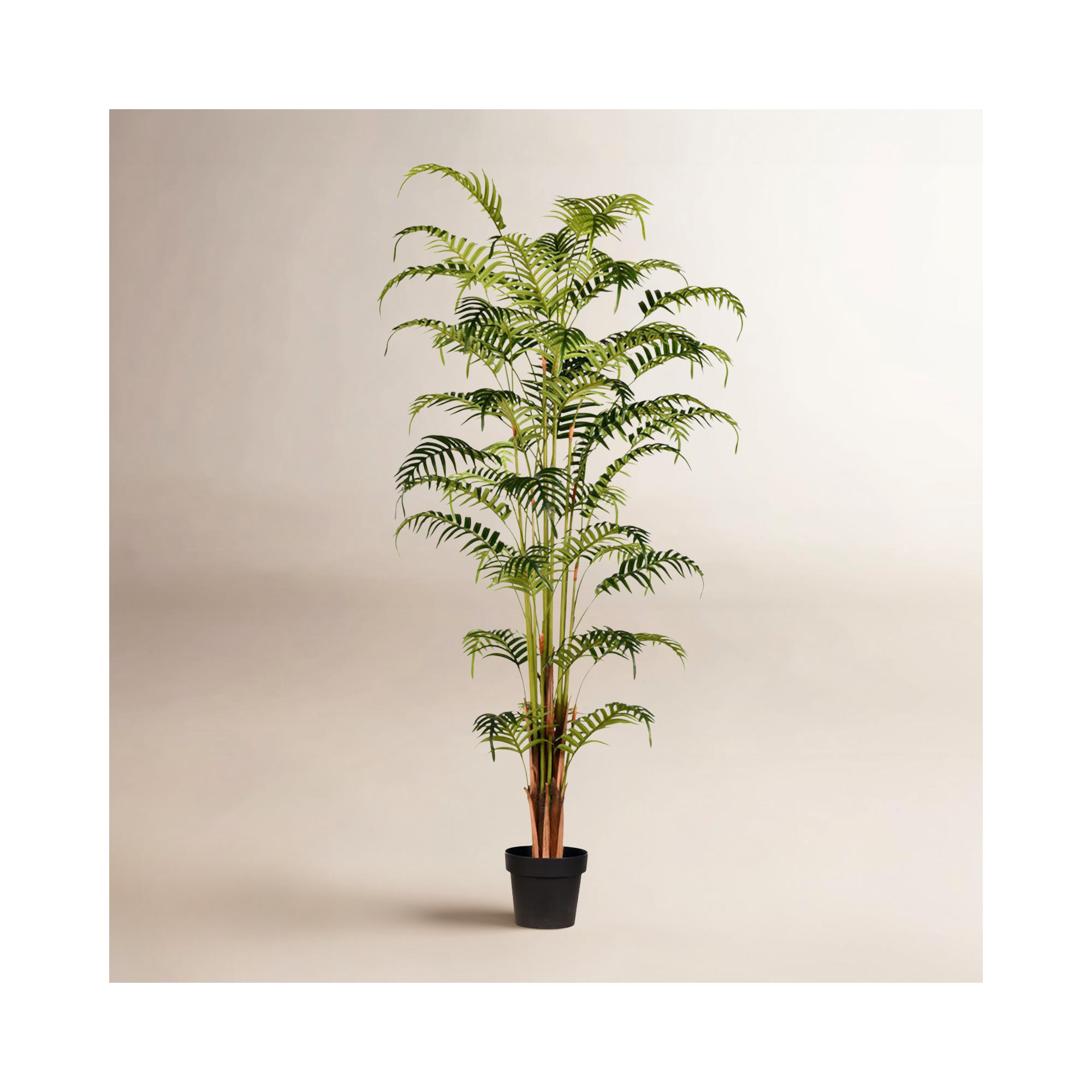 Faux Palm Plant in Pot, 70" H x 22" W x 22" D