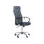 Loyle Office Chair-229009064