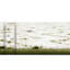 Tapis Somerville-1074762581