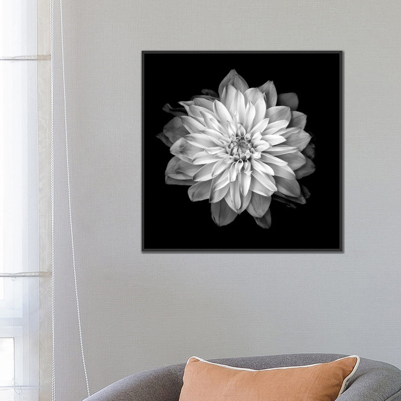 «Dahlia XVII, B&W» par Magda Indigo, impression sur toile, H 37 po x l 37 po x P 1,5 po, Toile tendue, Pas de tapis