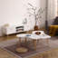 Table basse en forme de noix avec pieds en bois massif-1358443179