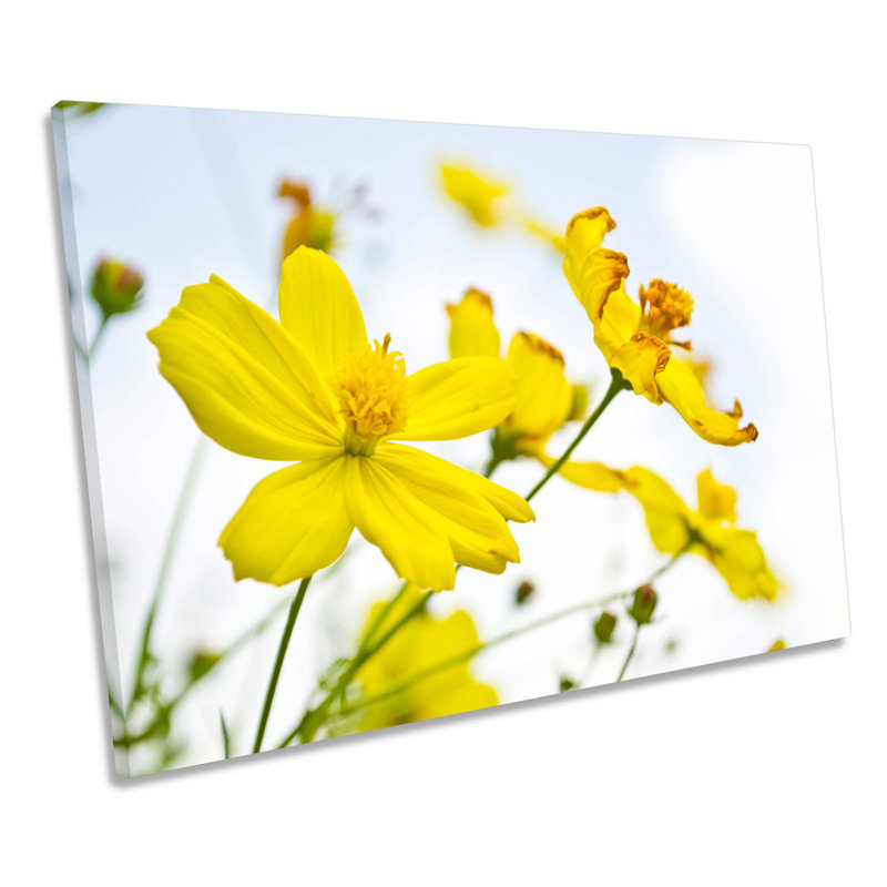 Blossom Floral Flowers Spring - Wrapped Canvas Art Prints, 91.4cm H x 137.2cm W x 4cm D