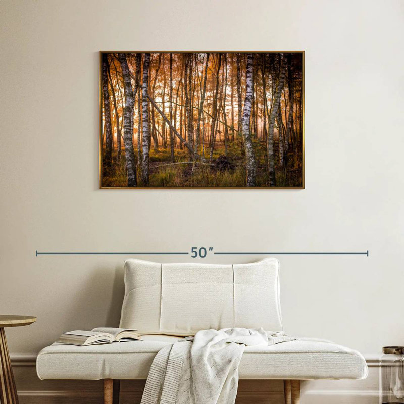 Forêt de bouleaux sombre, Cadre flottant doré, 37 po x 25 po