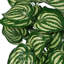 40cm Faux Plant in Pot Liner