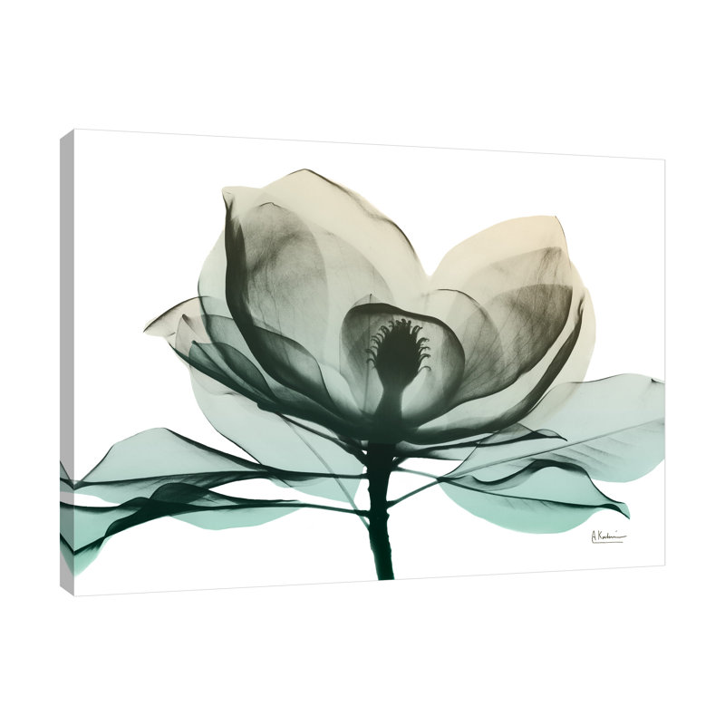 Emerald Magnolia 2 - Wrapped Canvas Print, 61 cm H x 81 cm W