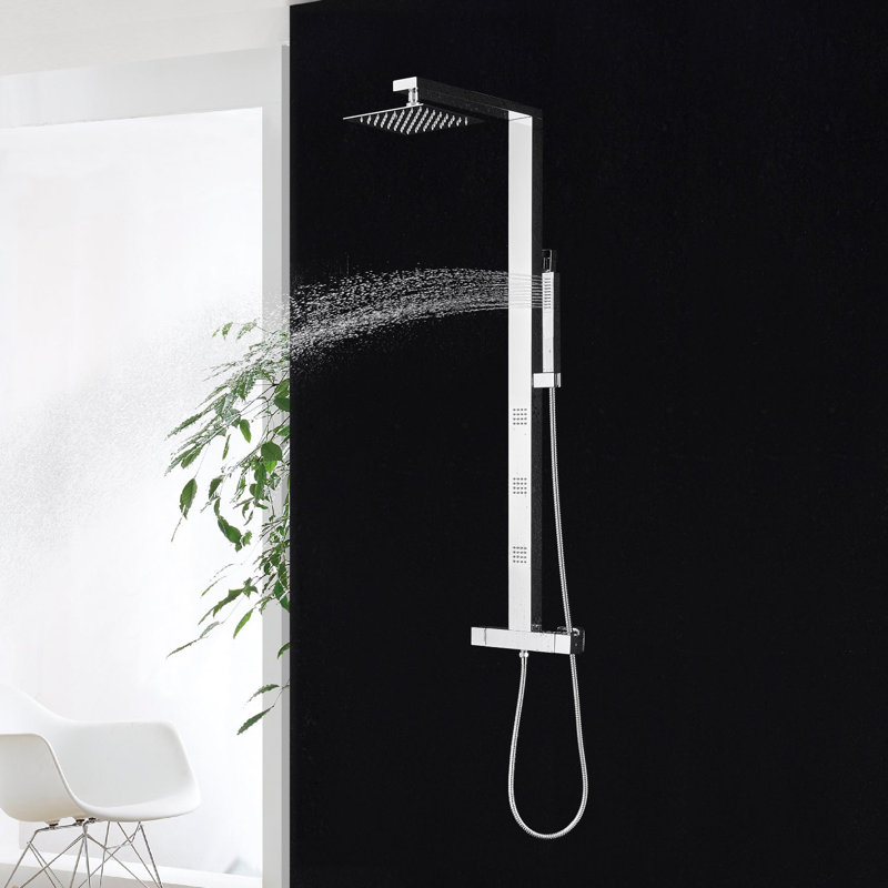 Finition du miroir de douche à main Dax