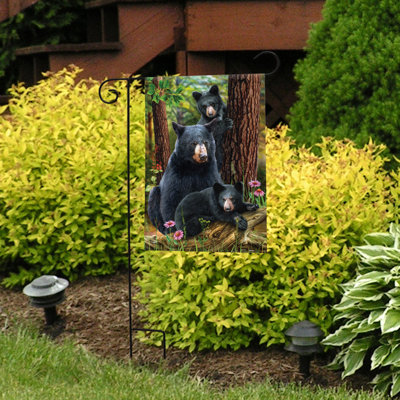 Drapeau de la famille de l'ours noir