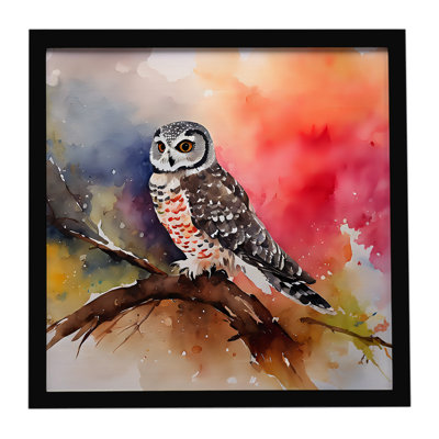 Northern Hawk Owl Framed Metal Print