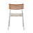 Saga 2-Piece Accent Chair Set – Silver/Beige