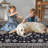 Machine Washable Rug Non-Slip Area Rug with Rubber Backing for Living Room Low-Pile Rug Indoor Floor Cover Oriental Rug for Bedroom Dining Room Hallway Playroom Office Kitchen Dorm and Bedside Decor-1261735570