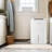 Energy Star 50-Pint Portable Dehumidifier with Pump