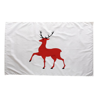 Nizhny Novgorod City Flag — Outdoor Flag