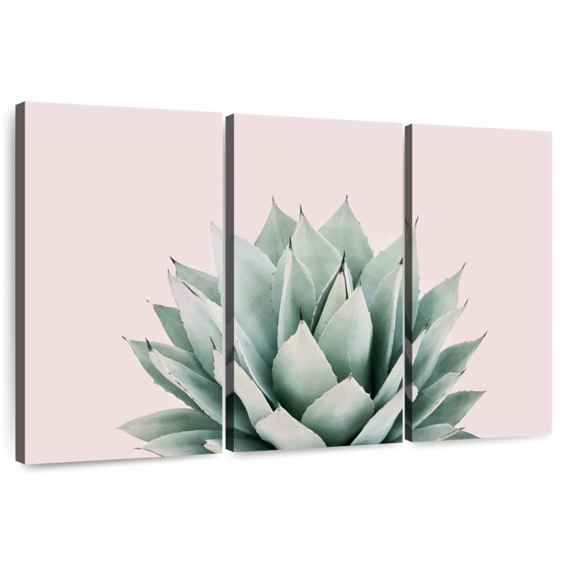 Harnek Blush Agave, 24" H x 38" W