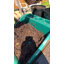 Compact Garden Tidy Tray with Shelf, 19" x 19.5" x 6", Indoor/Outdoor Potting Tray with Storage Shelf, Recycled Plastic, Green