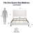Mozter Upholstered Wingback Platform Bed-1741814698-1680021528