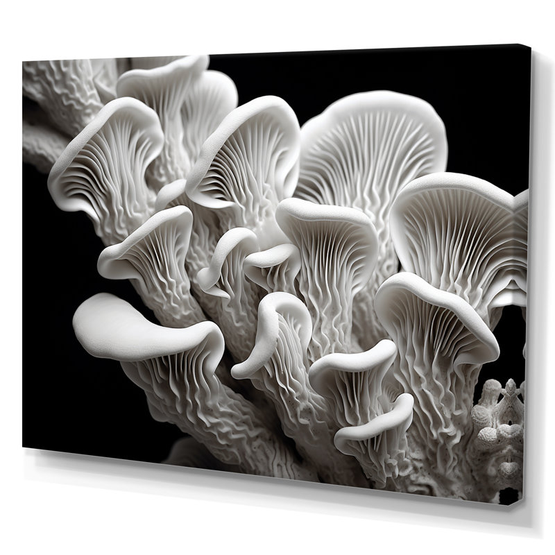 «Black and White Anemone Reef - Coastal Coral Under Water», reproduction sur toile encadrée, Toile tendue