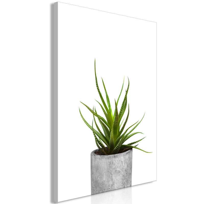 No Frame Print on Canvas, 80cm H x 120cm W