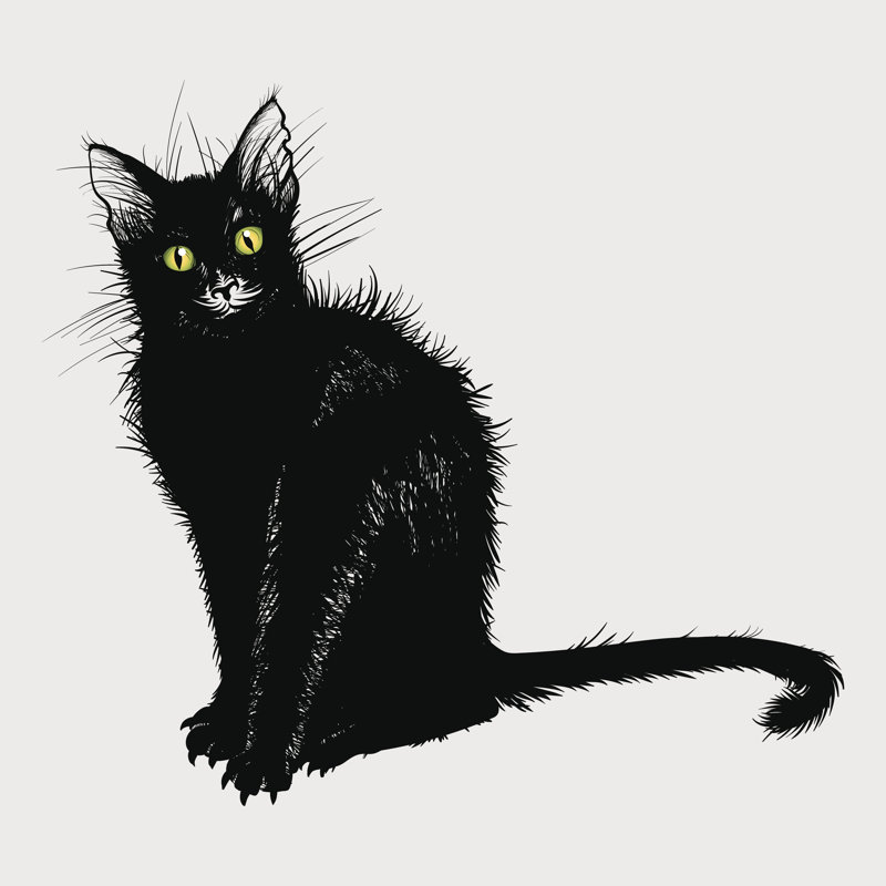 Black Cat by ArtOwl - Wrapped Canvas Print, 91cm H x 91cm W