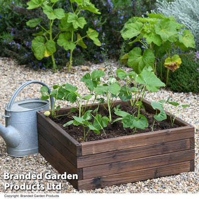 Maisie Wood Raised Flower Bed 110x90cm (x2)
