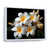 Cadre flottant blanc