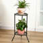 Ariyah Vintage 2 Tier Metal Plant Display Stand