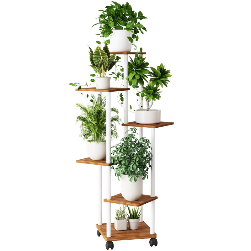 Plant Stand - Set of 6