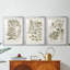 Sépia Botanical Journal I - Impression encadrée sur mesure de qualité supérieure - 3 pièces-718507810