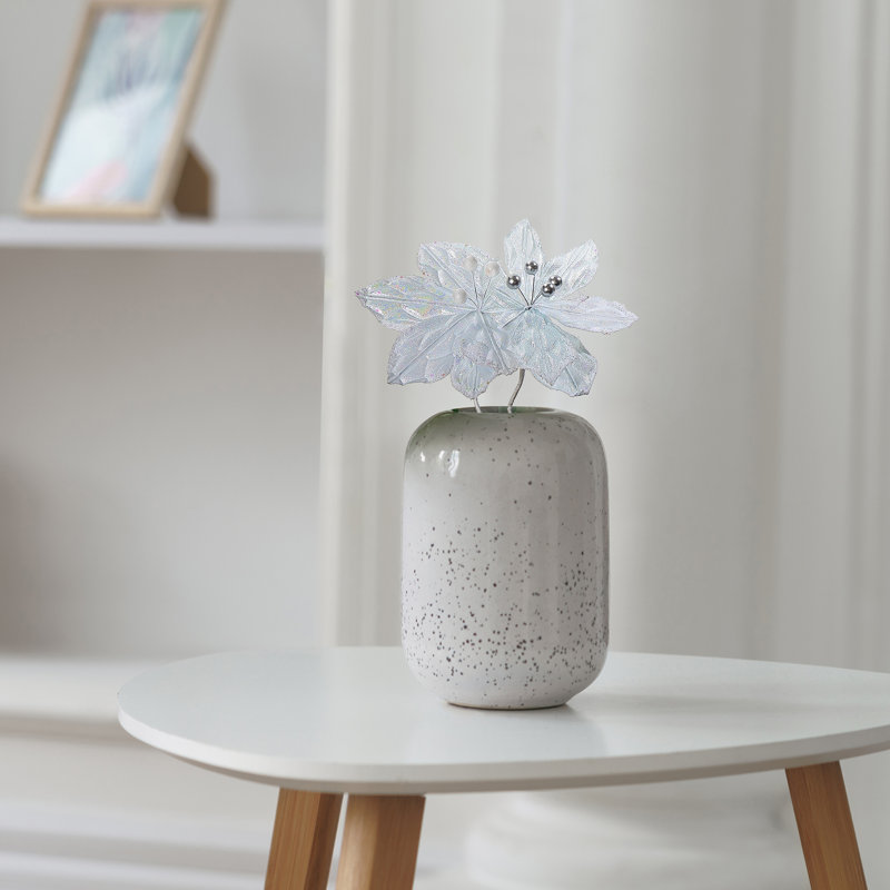 Poinsettia blanc - ensemble de 12