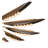Adsett Flush Mount