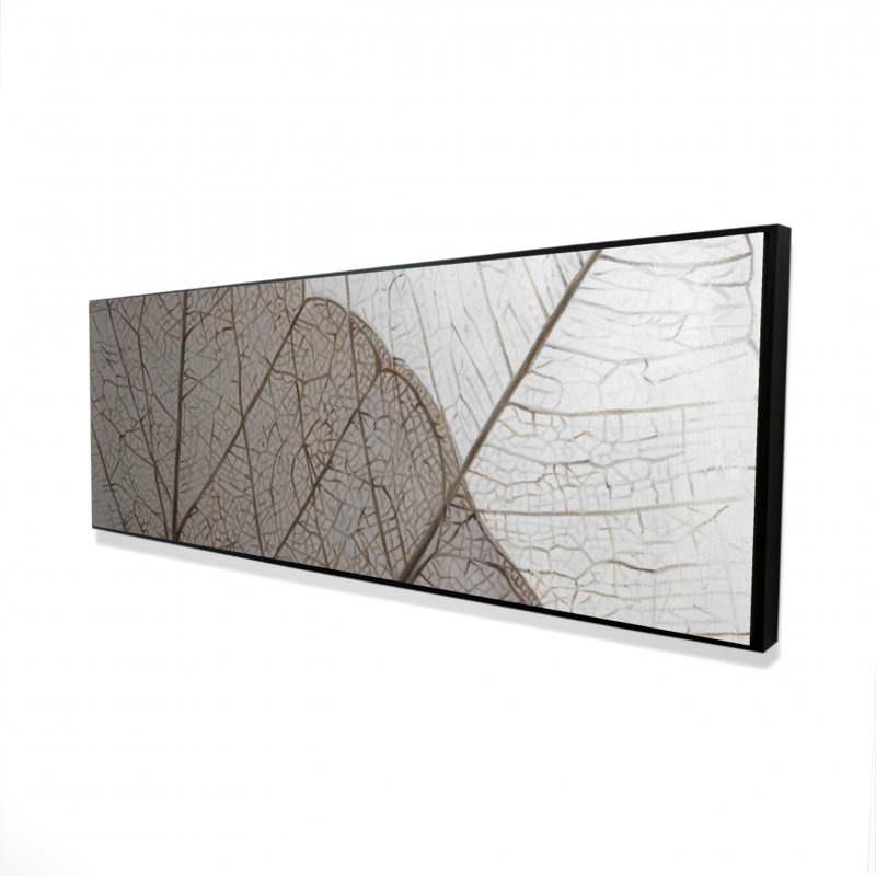 " Translucent Dried Leaves "