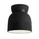 LED Ceramic Bell Outdoor Flush Mount