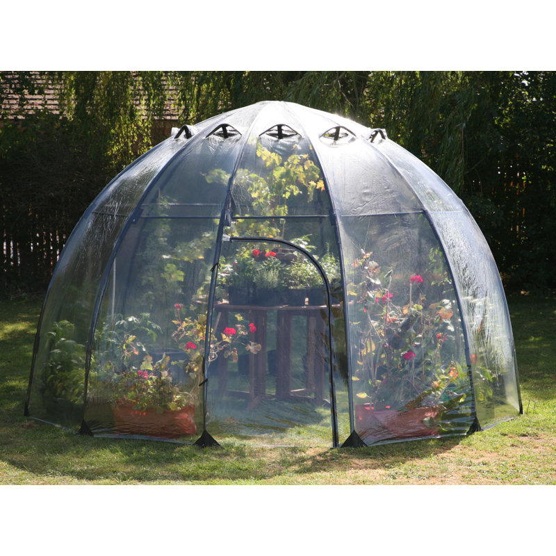 Large Clear PVC and Fiberglass Walk-In Greenhouse
