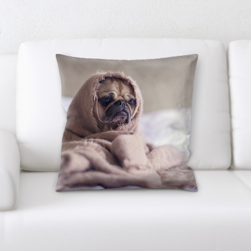Coussin carlin