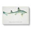 Illustration of a Smooth-Hound Shark by F.E. Clarke - Wrapped Canvas-55360478