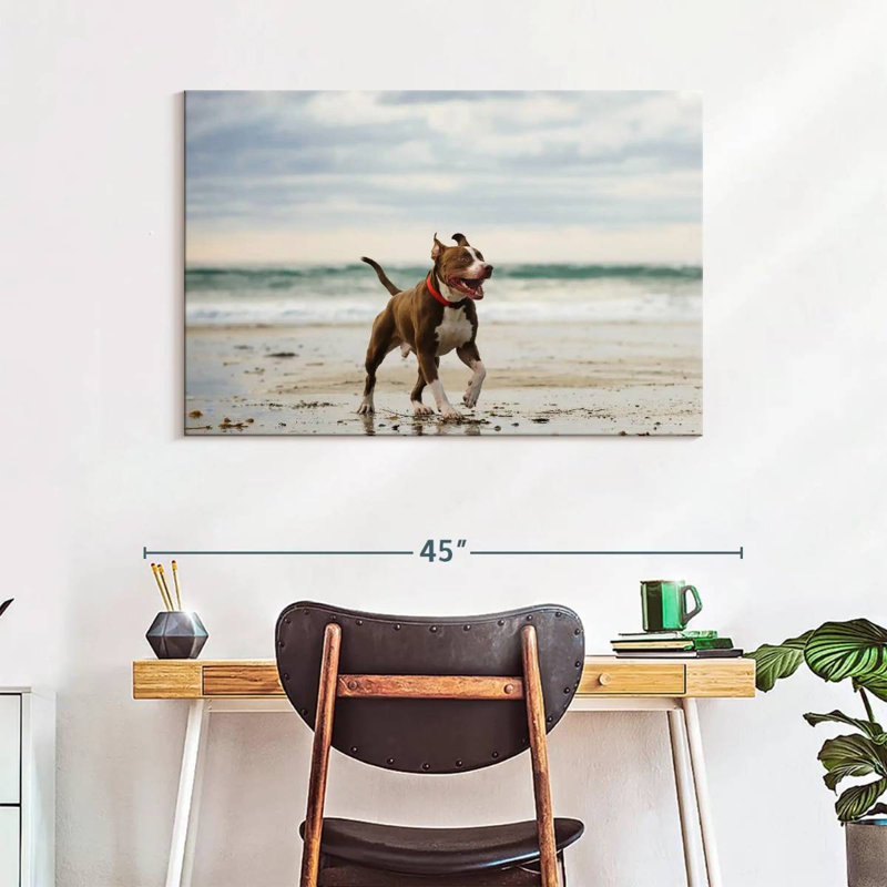 Brampt Pit Bull On Beach, 26" H x 39" W
